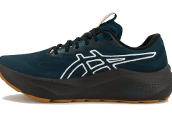 Asics GT-2000 14 TR Nature Bathing^Homme Running